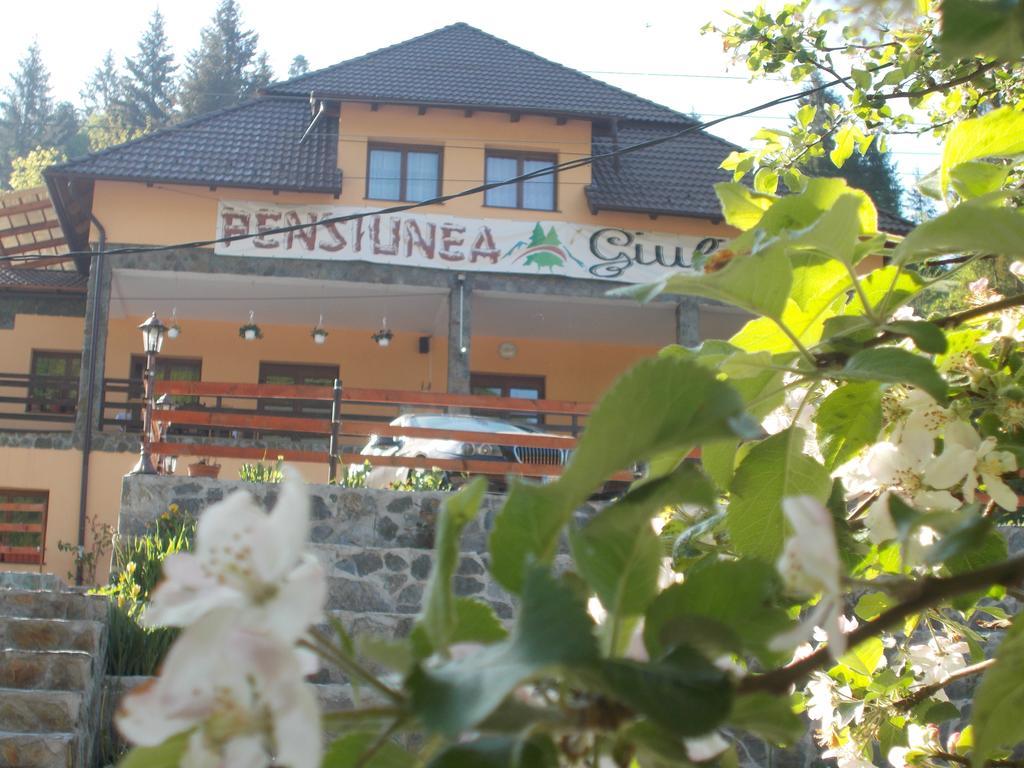 Pensiunea Giulia Hotel Bucium  Exterior photo